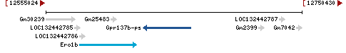 Genomic Context describing neighboring genes