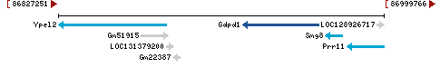 Genomic Context describing neighboring genes