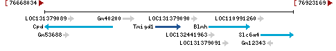 Genomic Context describing neighboring genes