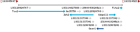 Genomic Context describing neighboring genes