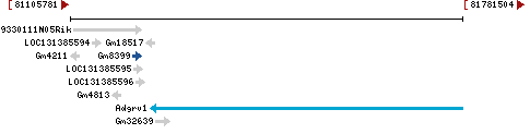 Genomic Context describing neighboring genes