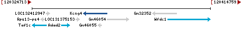 Genomic Context describing neighboring genes