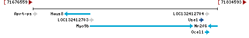 Genomic Context describing neighboring genes