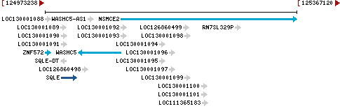 Genomic Context describing neighboring genes