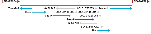 Genomic Context describing neighboring genes