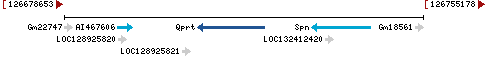 Genomic Context describing neighboring genes