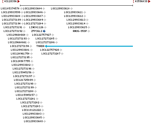 Genomic Context describing neighboring genes