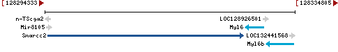 Genomic Context describing neighboring genes