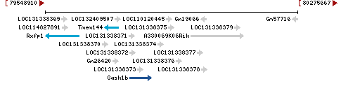 Genomic Context describing neighboring genes