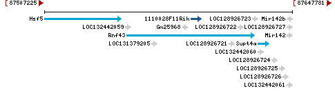 Genomic Context describing neighboring genes