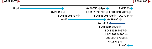 Genomic Context describing neighboring genes