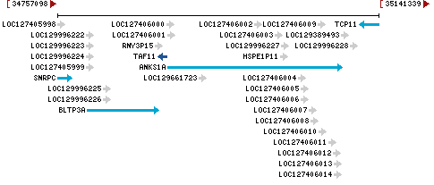 Genomic Context describing neighboring genes