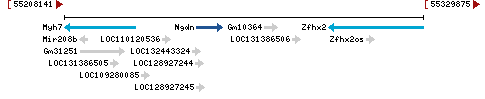 Genomic Context describing neighboring genes