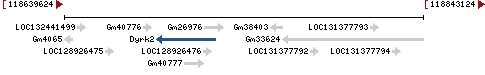 Genomic Context describing neighboring genes