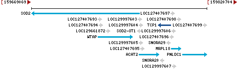 Genomic Context describing neighboring genes