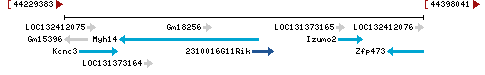 Genomic Context describing neighboring genes