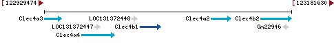 Genomic Context describing neighboring genes