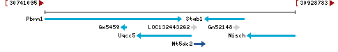 Genomic Context describing neighboring genes