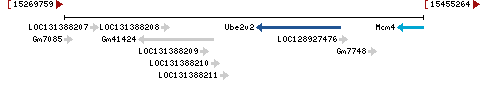 Genomic Context describing neighboring genes