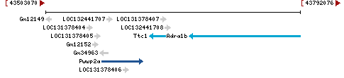 Genomic Context describing neighboring genes