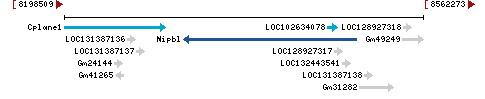 Genomic Context describing neighboring genes