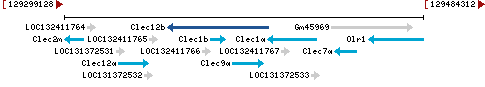 Genomic Context describing neighboring genes