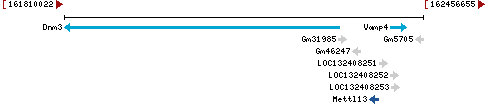 Genomic Context describing neighboring genes