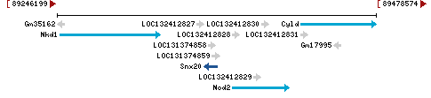 Genomic Context describing neighboring genes