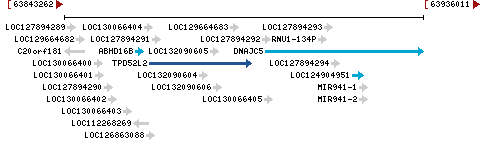 Genomic Context describing neighboring genes