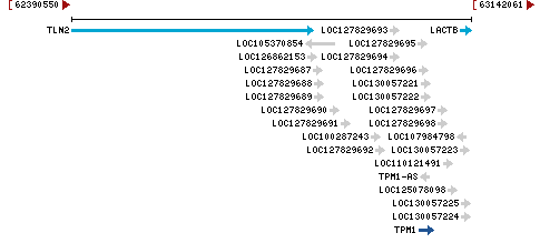 Genomic Context describing neighboring genes