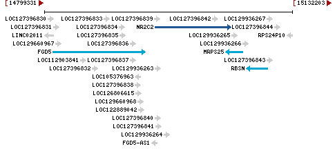 Genomic Context describing neighboring genes