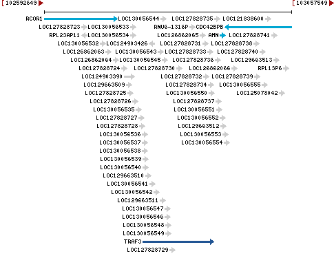 Genomic Context describing neighboring genes