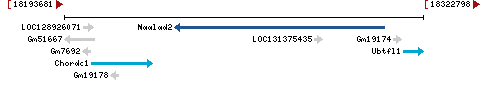 Genomic Context describing neighboring genes