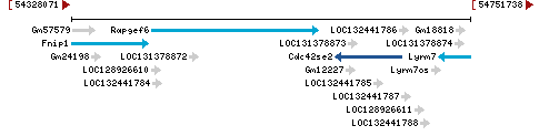 Genomic Context describing neighboring genes