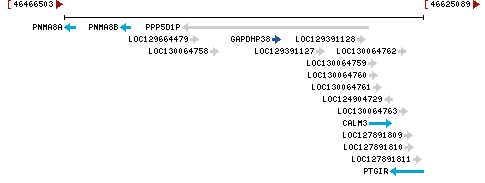 Genomic Context describing neighboring genes