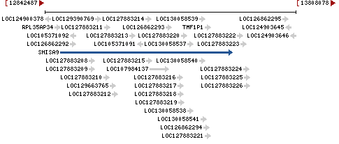 Genomic Context describing neighboring genes