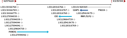 Genomic Context describing neighboring genes