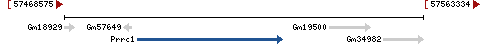 Genomic Context describing neighboring genes