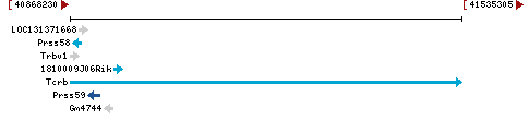 Genomic Context describing neighboring genes