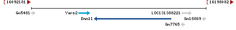 Genomic Context describing neighboring genes