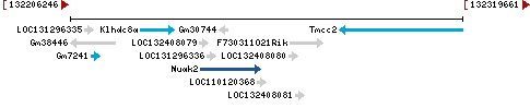 Genomic Context describing neighboring genes