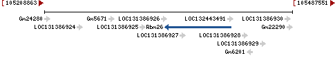 Genomic Context describing neighboring genes