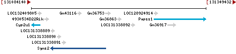 Genomic Context describing neighboring genes