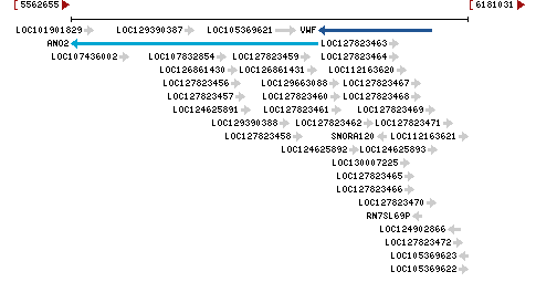 Genomic Context describing neighboring genes