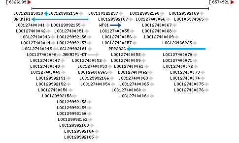 Genomic Context describing neighboring genes