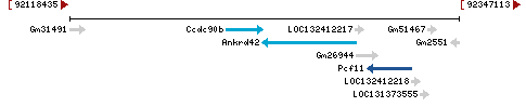 Genomic Context describing neighboring genes