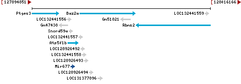 Genomic Context describing neighboring genes