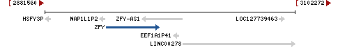 Genomic Context describing neighboring genes