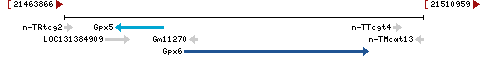 Genomic Context describing neighboring genes