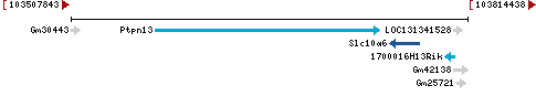 Genomic Context describing neighboring genes